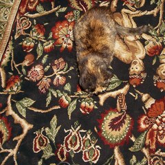 Camouflage