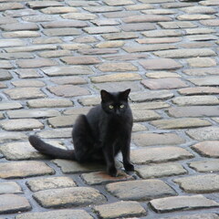 Cobblestones