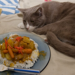 Curry