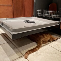 Dishwasher