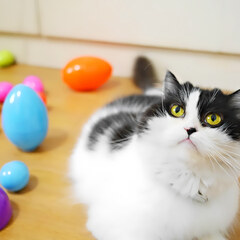 Easter