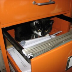 File cabinet