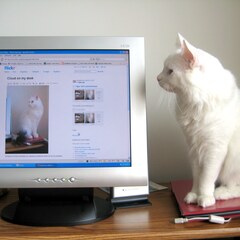 Flickr