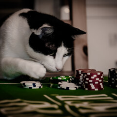 Gambling
