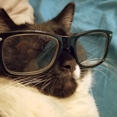 Glasses