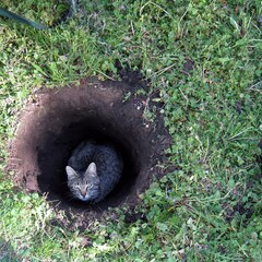 Hole