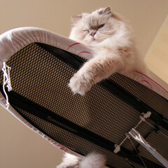 Ironing board