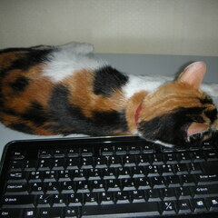 Keyboard