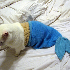 Mermaid