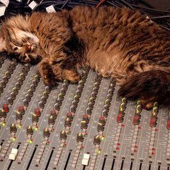 Mixer