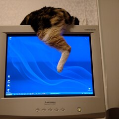 Monitor