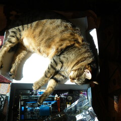Motherboard