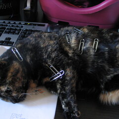 Paperclip