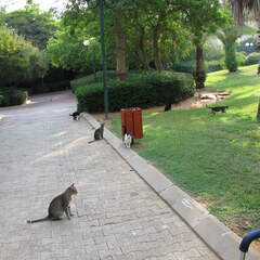 Park