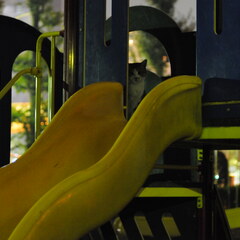 Playground slide