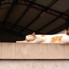 Relax