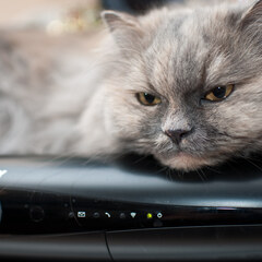 Set top box