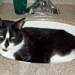 Sink