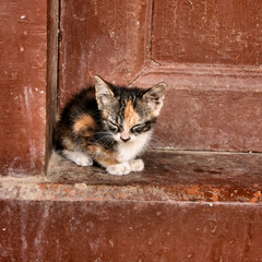 Small