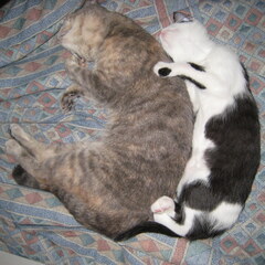 Spooning