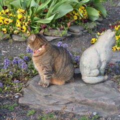 Statue