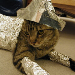 Tin foil hat