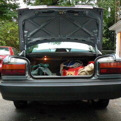 Trunk