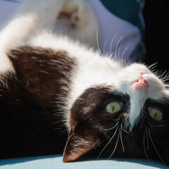 Upside down