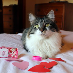 Valentine