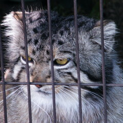 Zoo